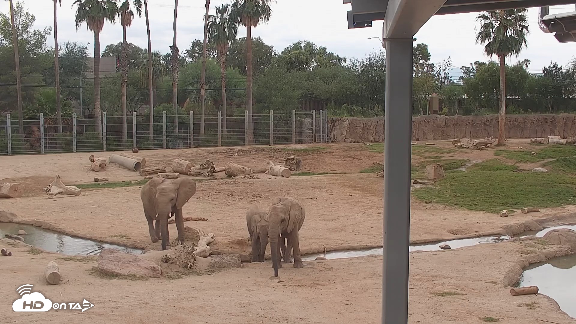 Snapshot of Reid Park Zoo Elephant Mudpit Live Webcam taken Sep 28, 2026, 11:44am MST