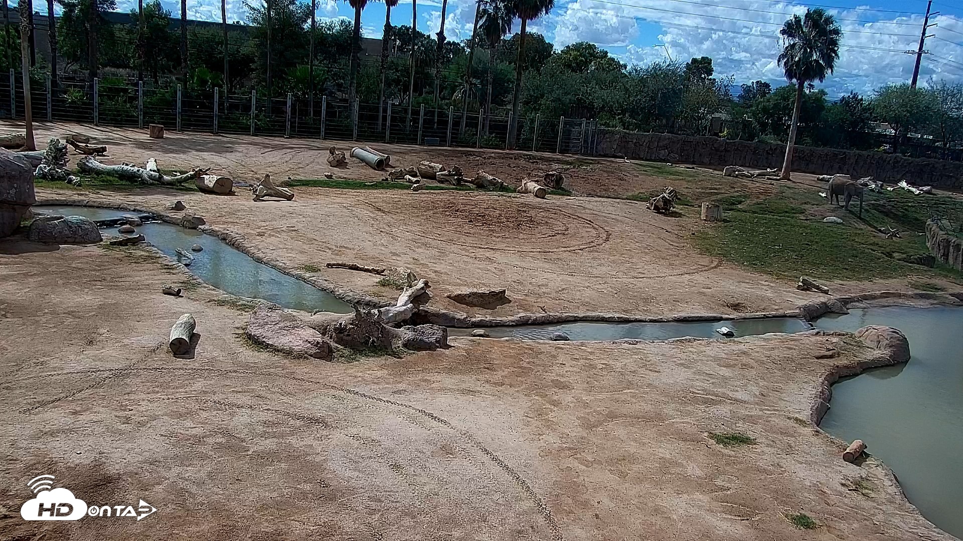 Snapshot of Reid Park Zoo Elephant Mudpit Live Webcam taken Oct 13, 2026, 10:59am MST
