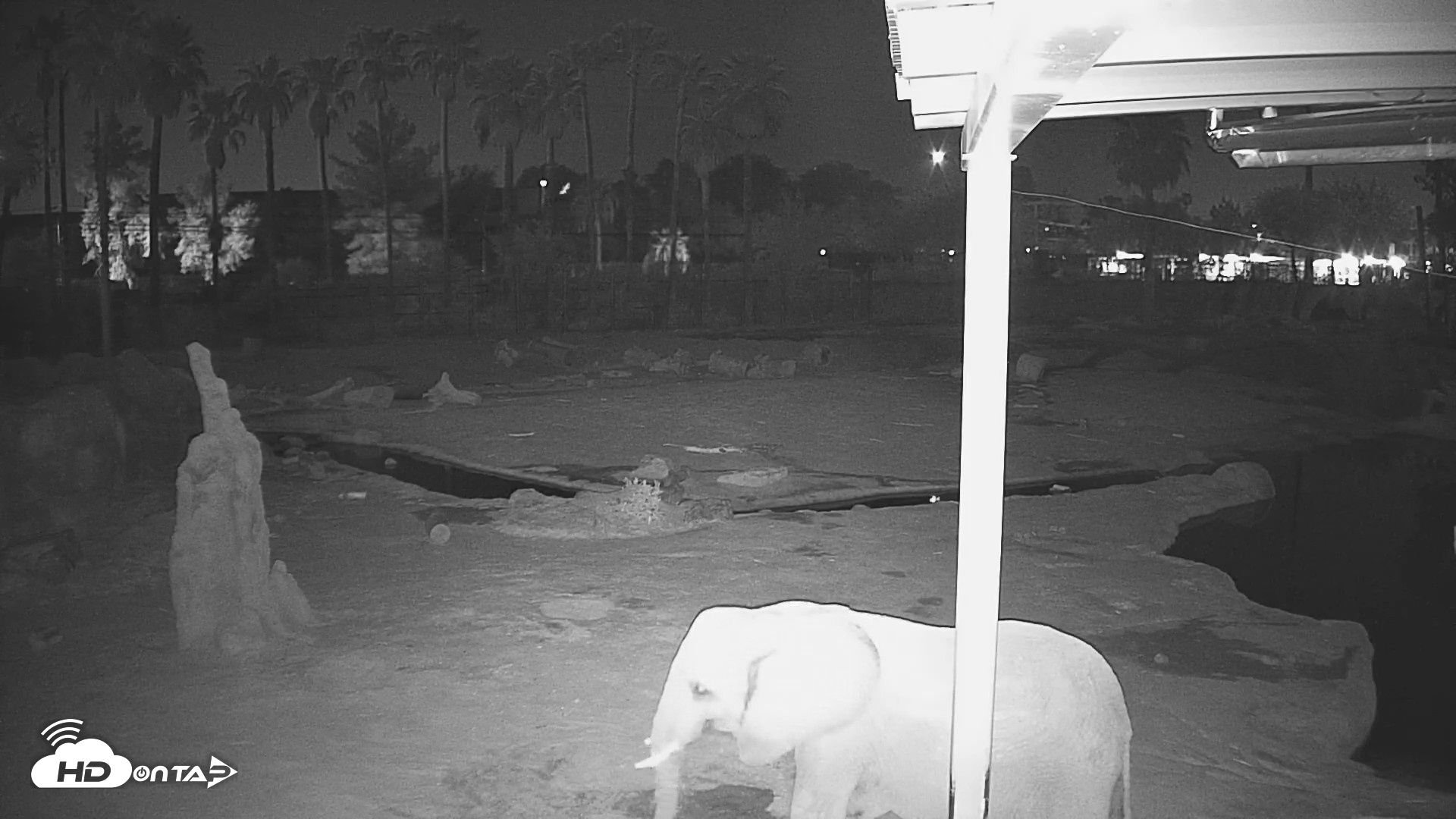 Snapshot of Reid Park Zoo Elephant Mudpit Live Webcam taken Sep 5, 2026, 3:01am MST