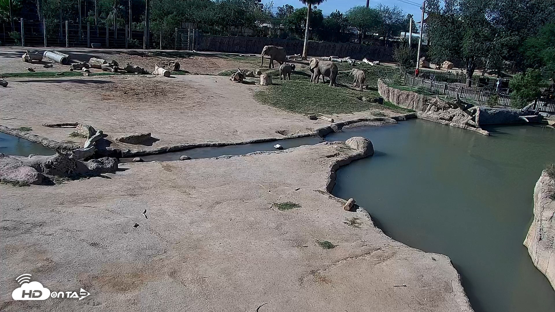 Snapshot of Reid Park Zoo Elephant Mudpit Live Webcam taken Oct 17, 2026, 9:26am MST