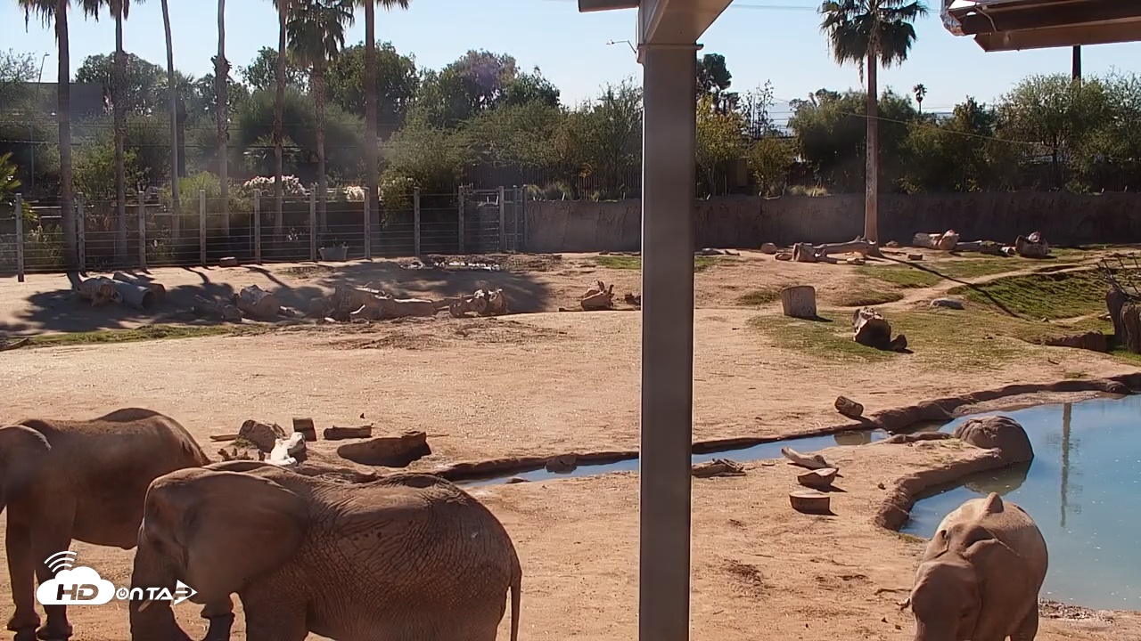 Snapshot of Reid Park Zoo Elephant Mudpit Live Webcam taken Dec 9, 2025, 1:07pm MST
