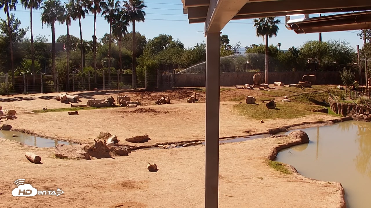 Snapshot of Reid Park Zoo Elephant Mudpit Live Webcam taken Oct 27, 2025, 11:37am MST