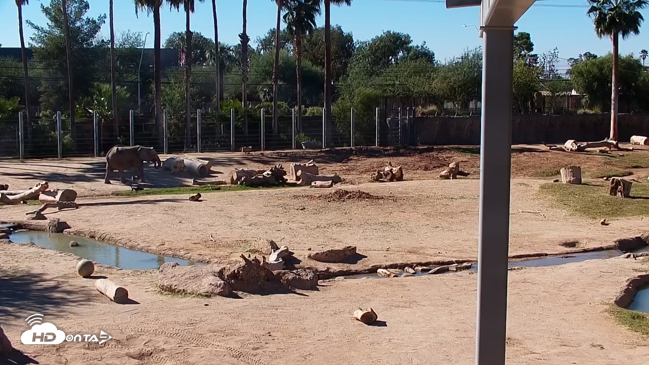 Snapshot of Reid Park Zoo Elephant Mudpit Live Webcam taken Oct 29, 2025, 10:02am MST