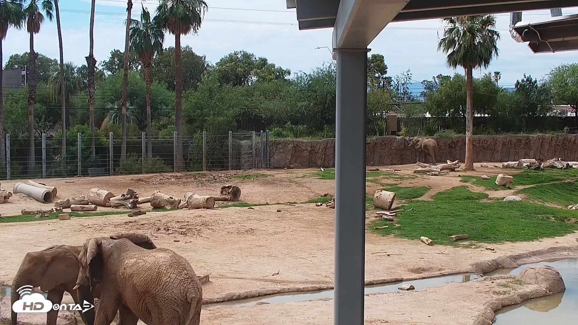 Snapshot of Reid Park Zoo Elephant Mudpit Live Webcam taken Sep 6, 2026, 11:36am MST