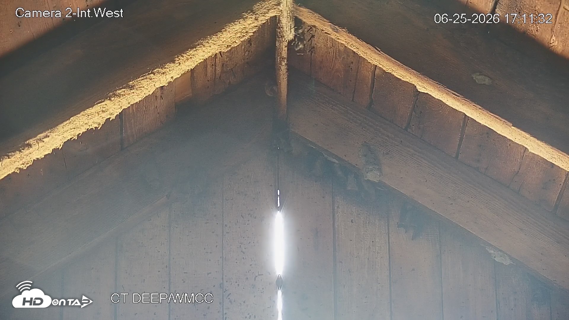 Snapshot of Connecticut Live Bat Webcams taken Jun 25, 2026, 5:11pm EDT