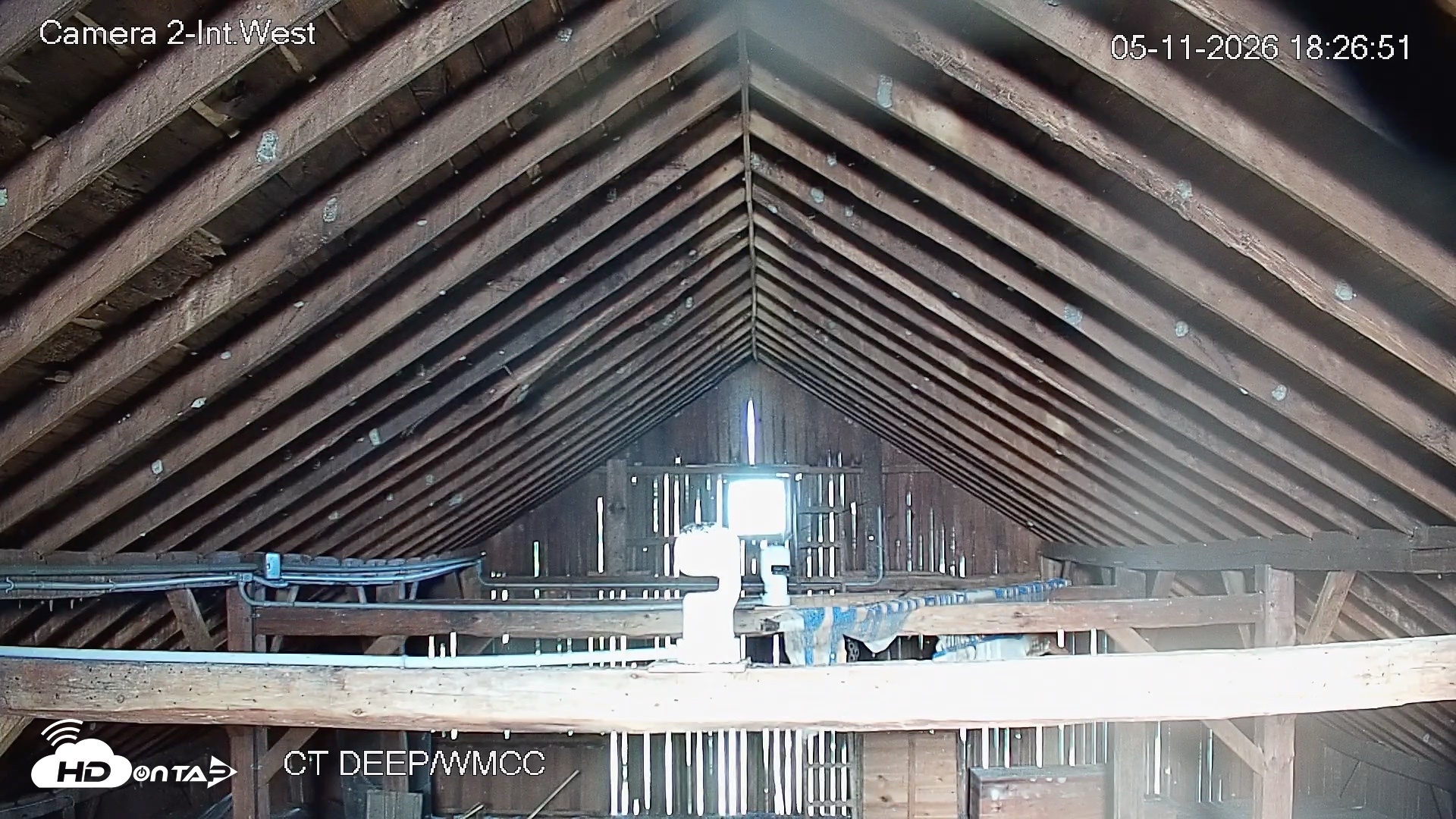 Snapshot of Connecticut Live Bat Webcams taken May 11, 2026, 6:26pm EDT