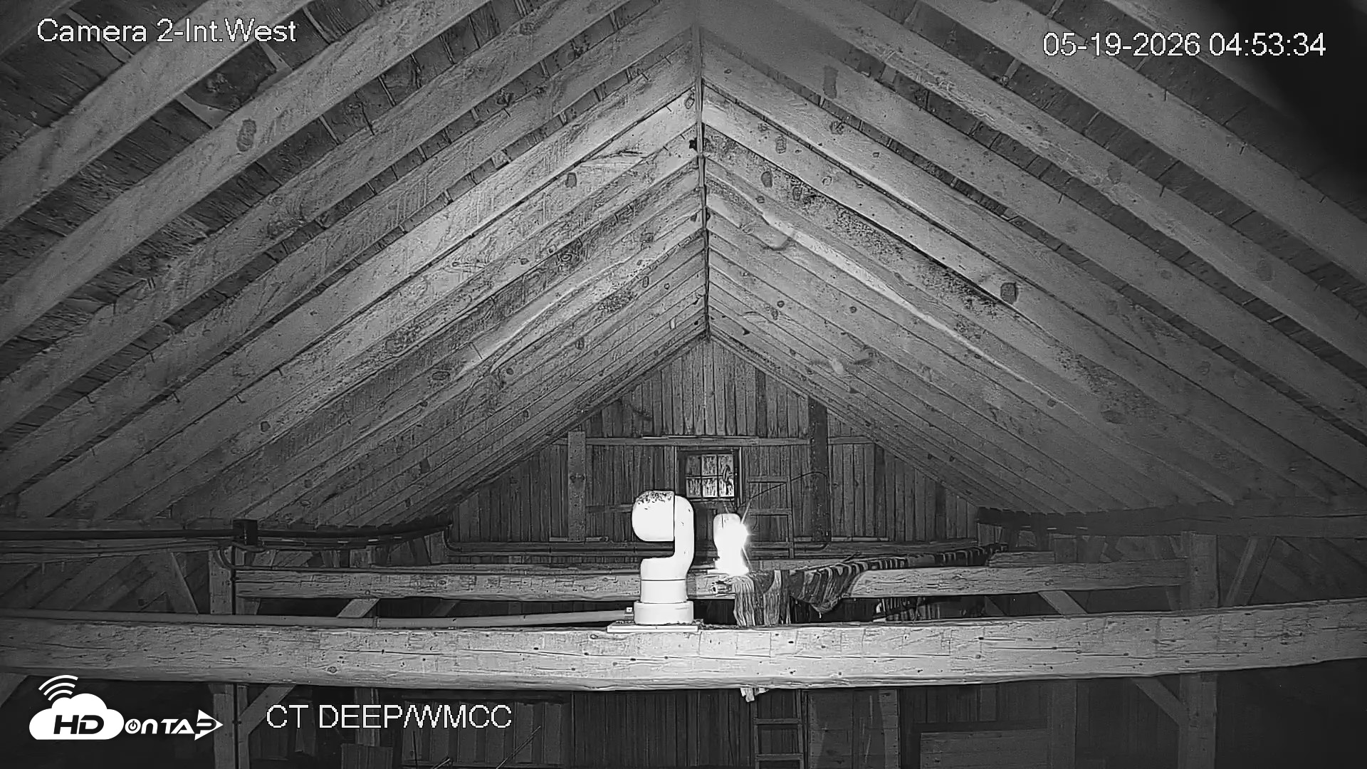 Snapshot of Connecticut Live Bat Webcams taken May 19, 2026, 4:53am EDT