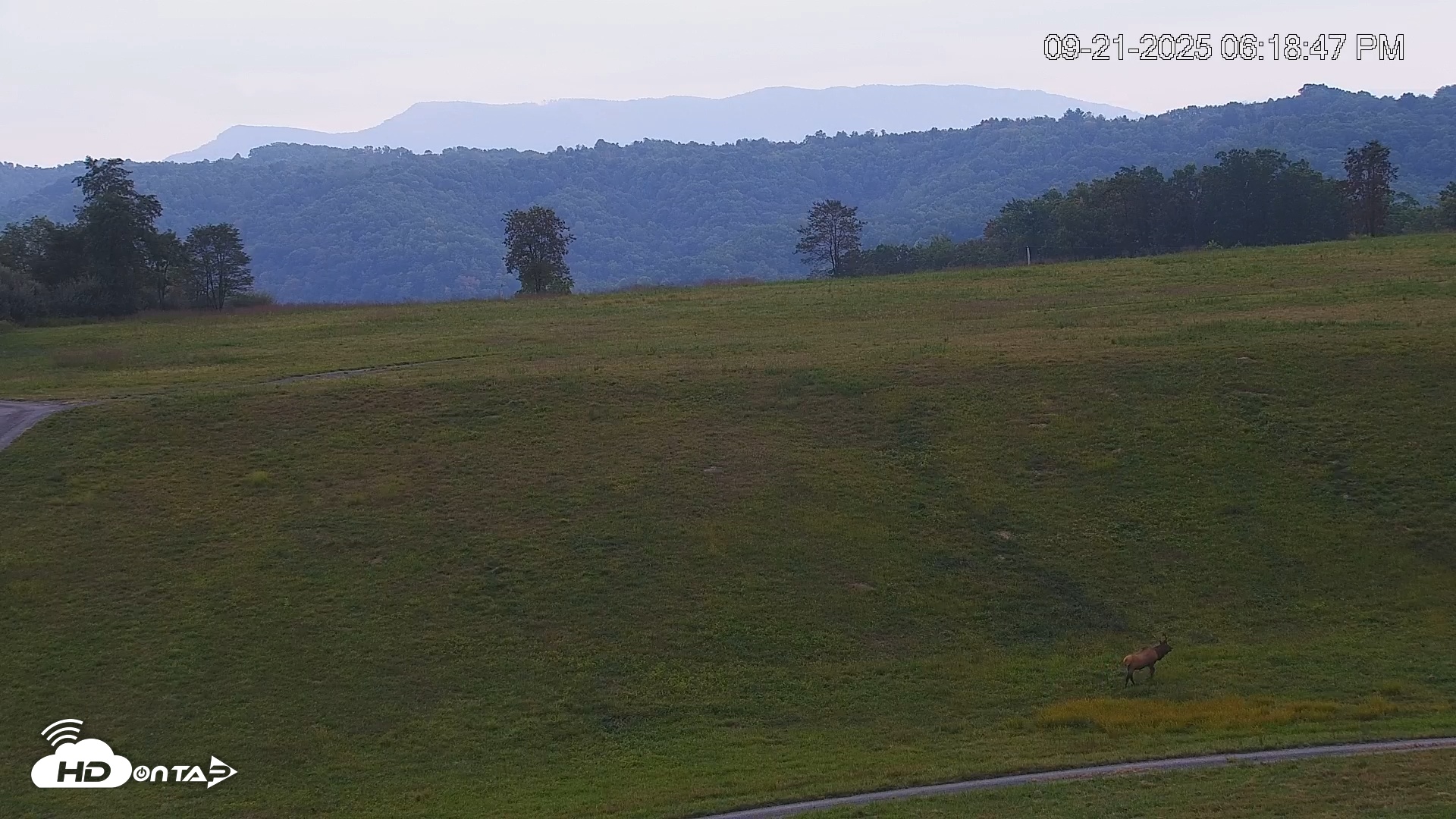 Snapshot of Virginia Elk Live Webcam taken Sep 21, 2025, 6:19pm EDT
