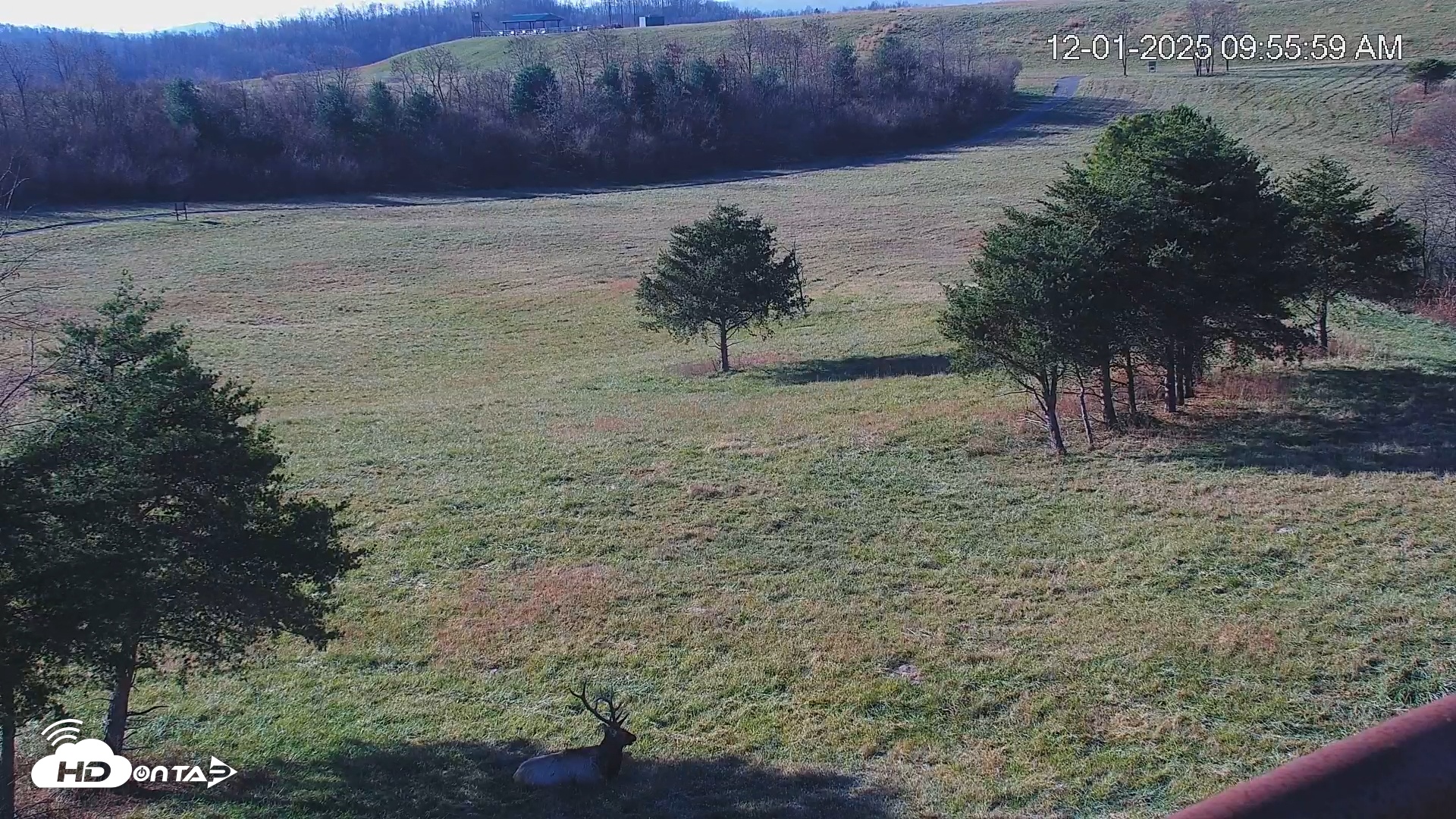 Snapshot of Virginia Elk Live Webcam taken Dec 1, 2025, 9:56am EST