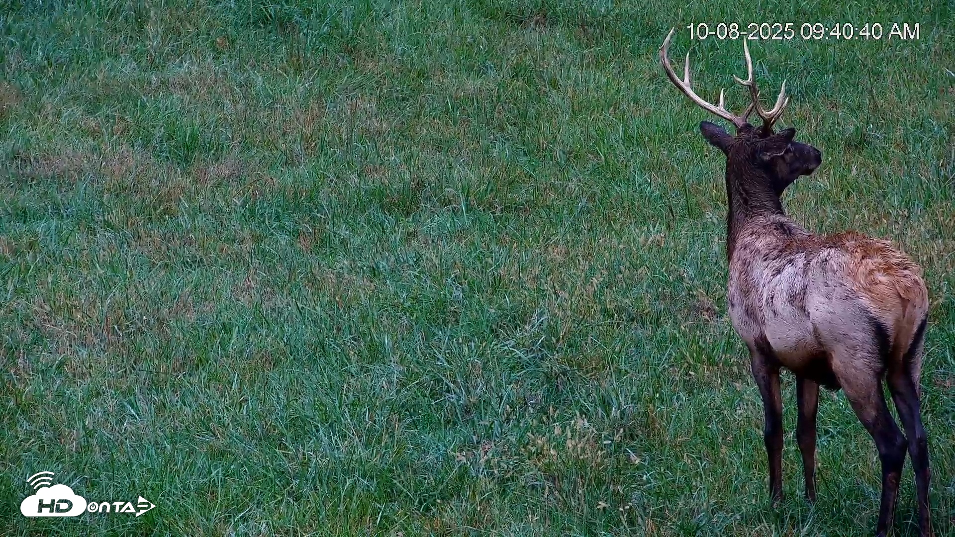 Snapshot of Virginia Elk Live Webcam taken Oct 8, 2025, 9:41am EDT
