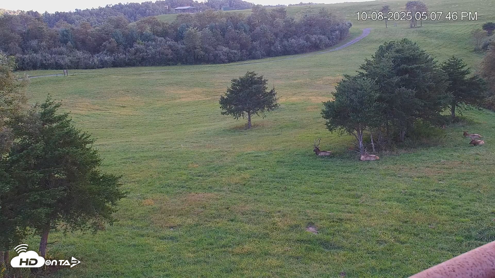 Snapshot of Virginia Elk Live Webcam taken Oct 8, 2025, 5:09pm EDT