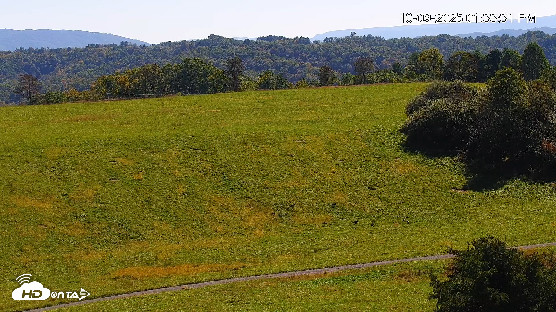 Snapshot of Virginia Elk Live Webcam taken Oct 9, 2025, 1:34pm EDT
