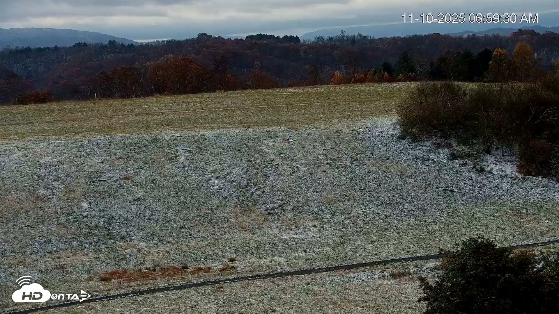 Snapshot of Virginia Elk Live Webcam taken Nov 10, 2025, 7:00am EST