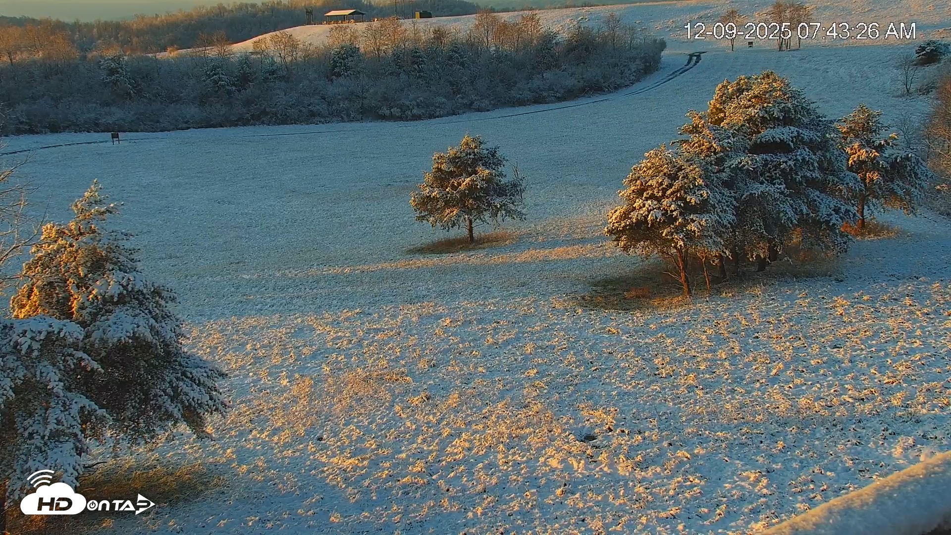 Snapshot of Virginia Elk Live Webcam taken Dec 9, 2025, 7:45am EST
