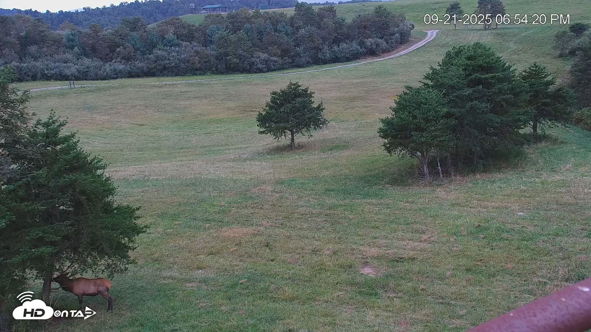 Snapshot of Virginia Elk Live Webcam taken Sep 21, 2025, 6:55pm EDT
