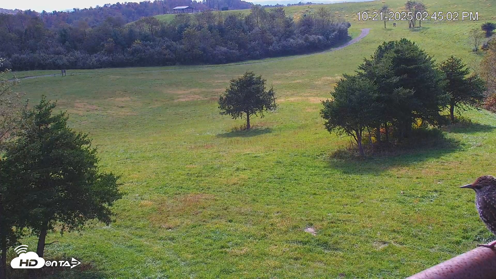Snapshot of Virginia Elk Live Webcam taken Oct 21, 2025, 2:46pm EDT