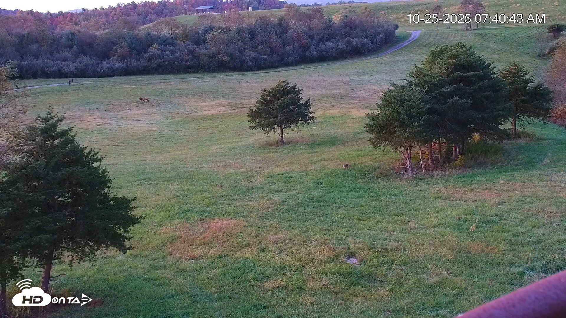 Snapshot of Virginia Elk Live Webcam taken Oct 25, 2025, 7:41am EDT