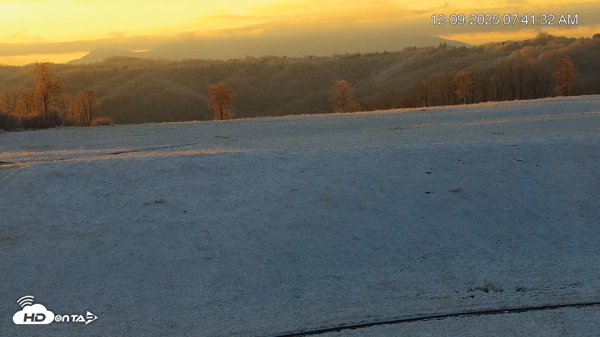 Snapshot of Virginia Elk Live Webcam taken Dec 9, 2025, 7:42am EST