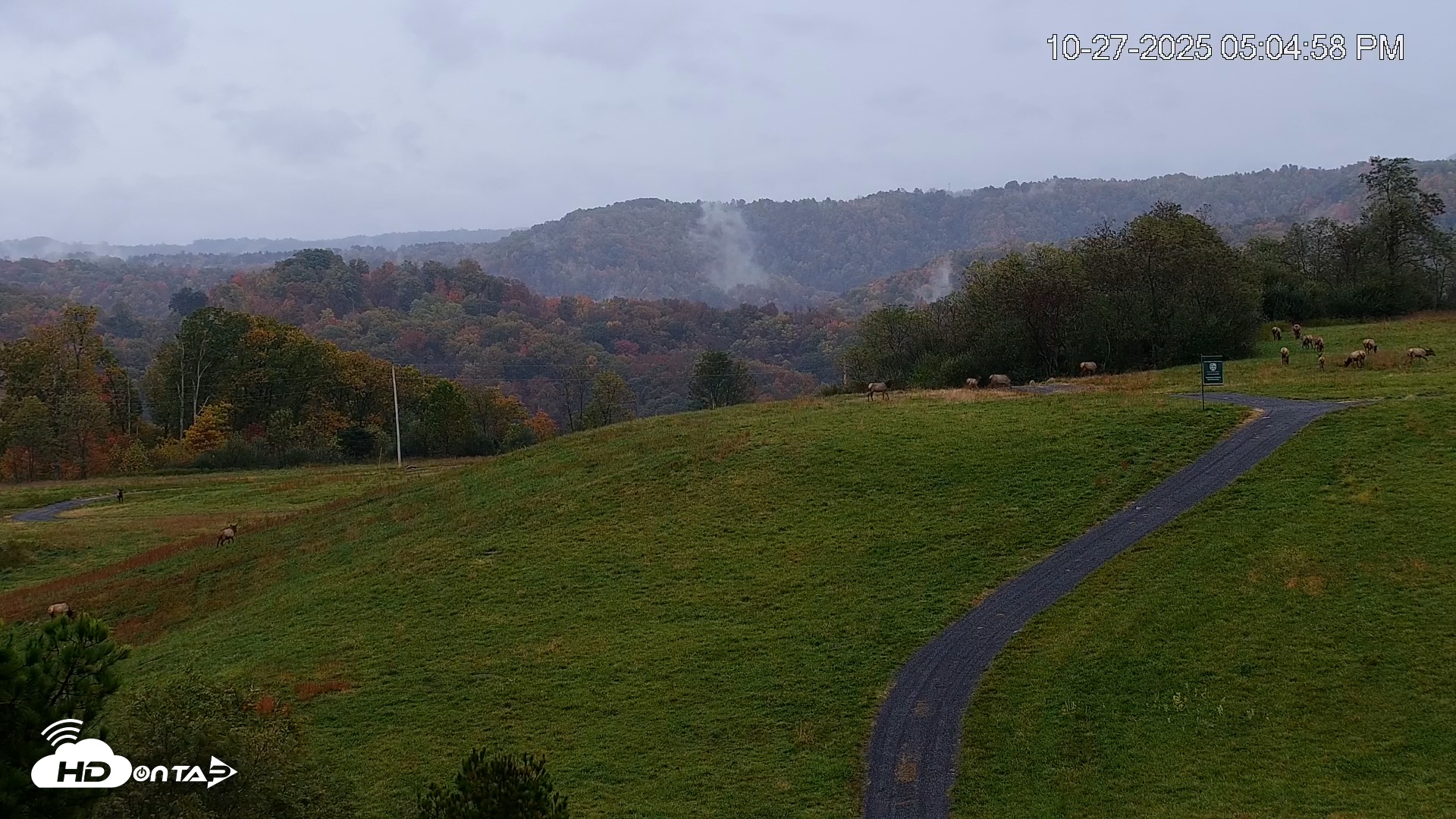 Snapshot of Virginia Elk Live Webcam taken Oct 27, 2025, 5:05pm EDT