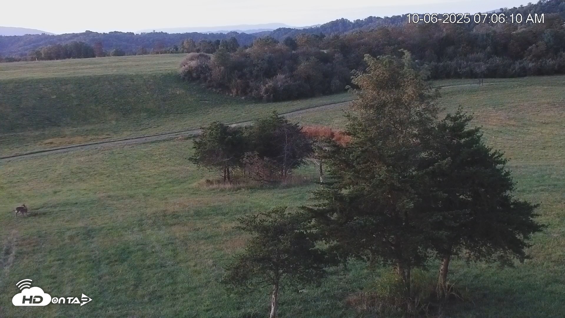 Snapshot of Virginia Elk Live Webcam taken Oct 6, 2025, 7:06am EDT