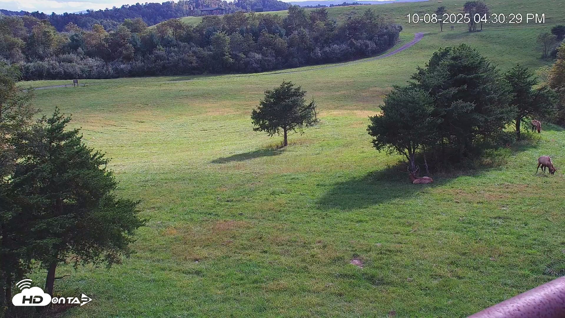 Snapshot of Virginia Elk Live Webcam taken Oct 8, 2025, 4:31pm EDT