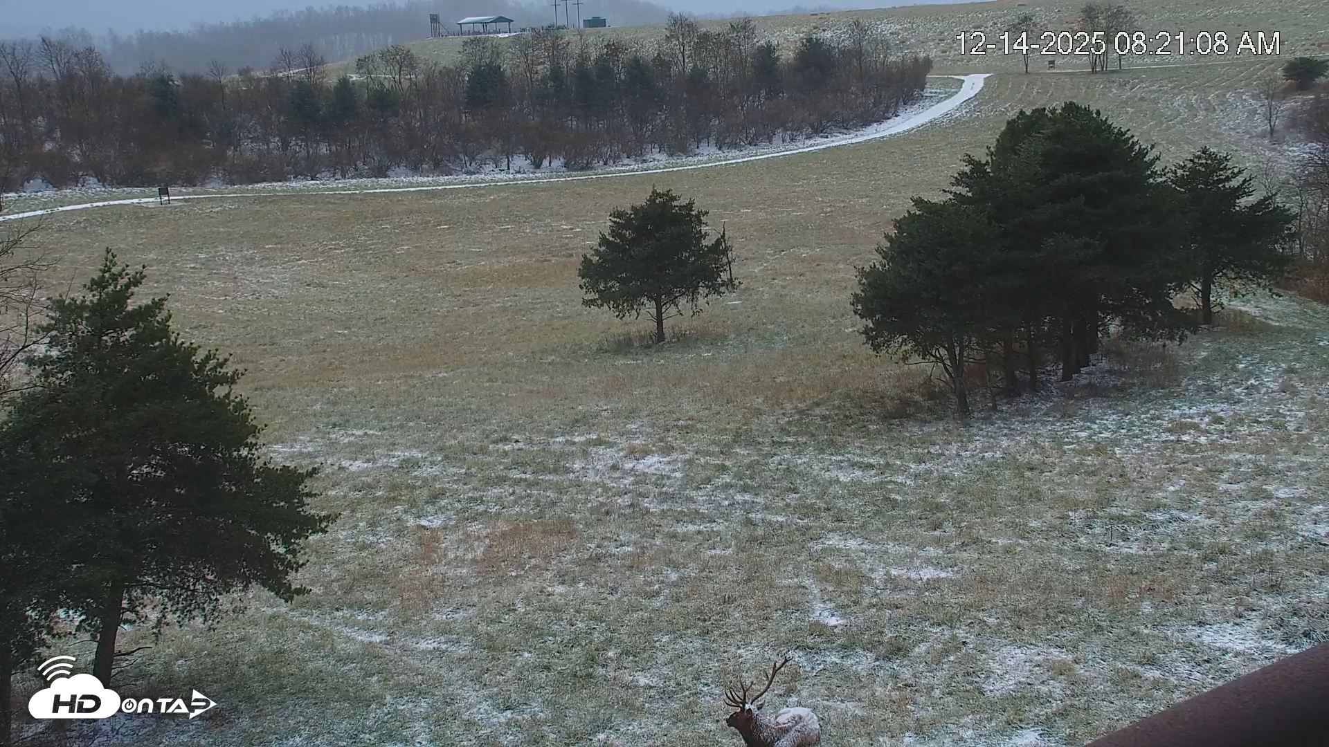 Snapshot of Virginia Elk Live Webcam taken Dec 14, 2025, 8:21am EST