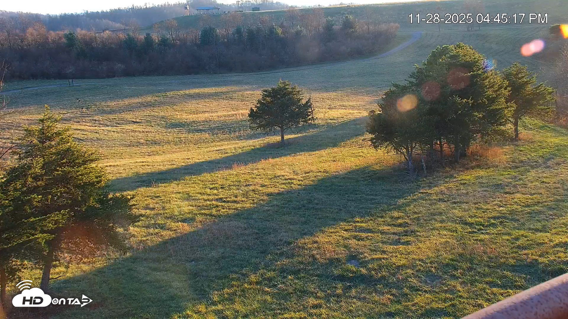 Snapshot of Virginia Elk Live Webcam taken Nov 28, 2025, 4:45pm EST