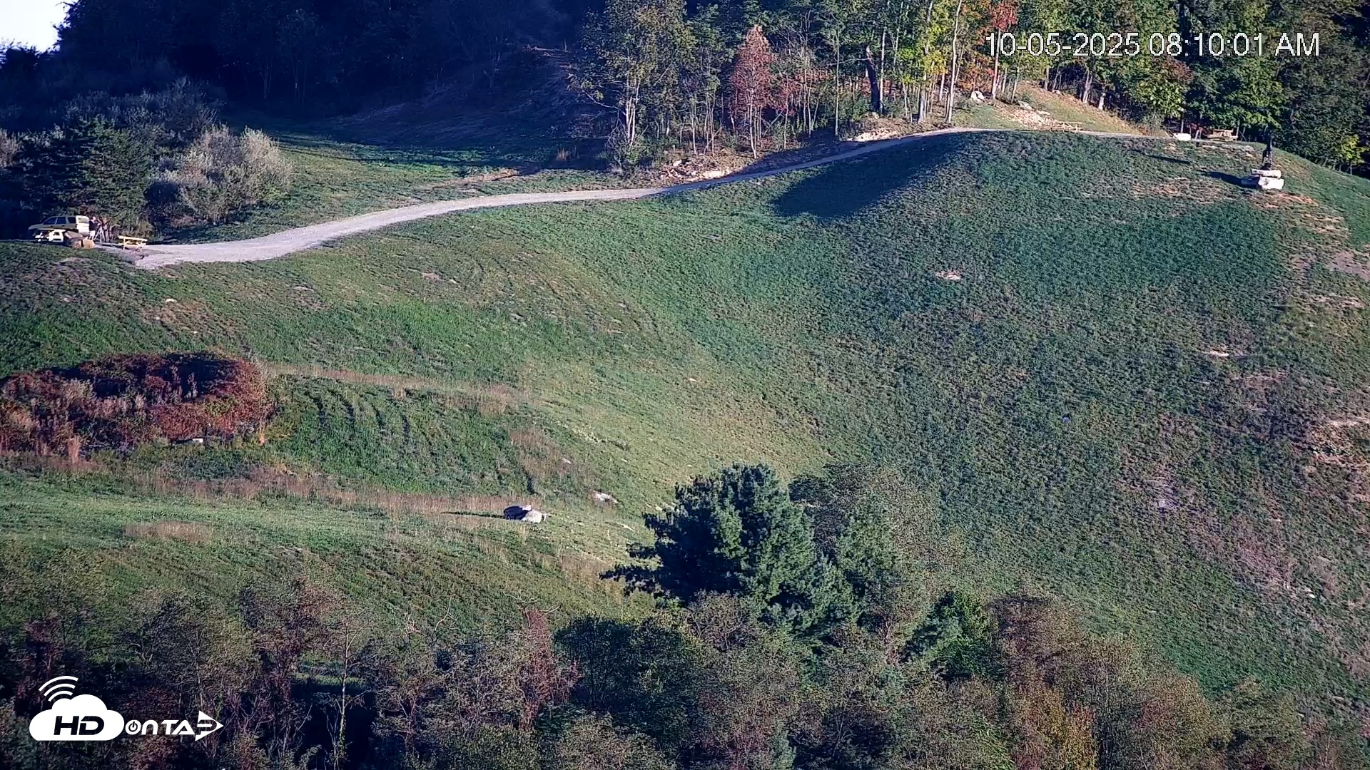 Snapshot of Virginia Elk Live Webcam taken Oct 5, 2025, 8:10am EDT