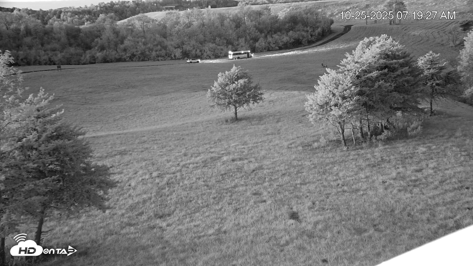 Snapshot of Virginia Elk Live Webcam taken Oct 25, 2025, 7:20am EDT