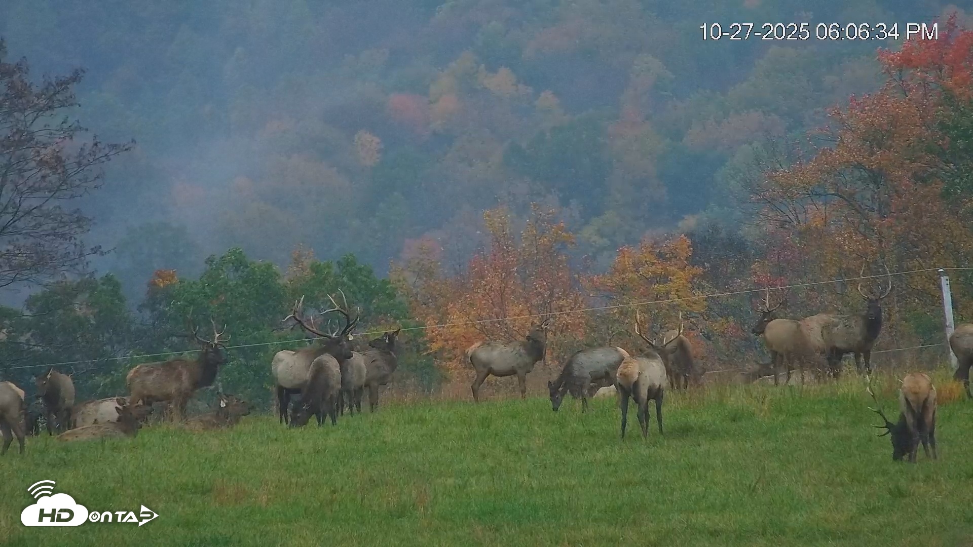 Snapshot of Virginia Elk Live Webcam taken Oct 27, 2025, 6:07pm EDT
