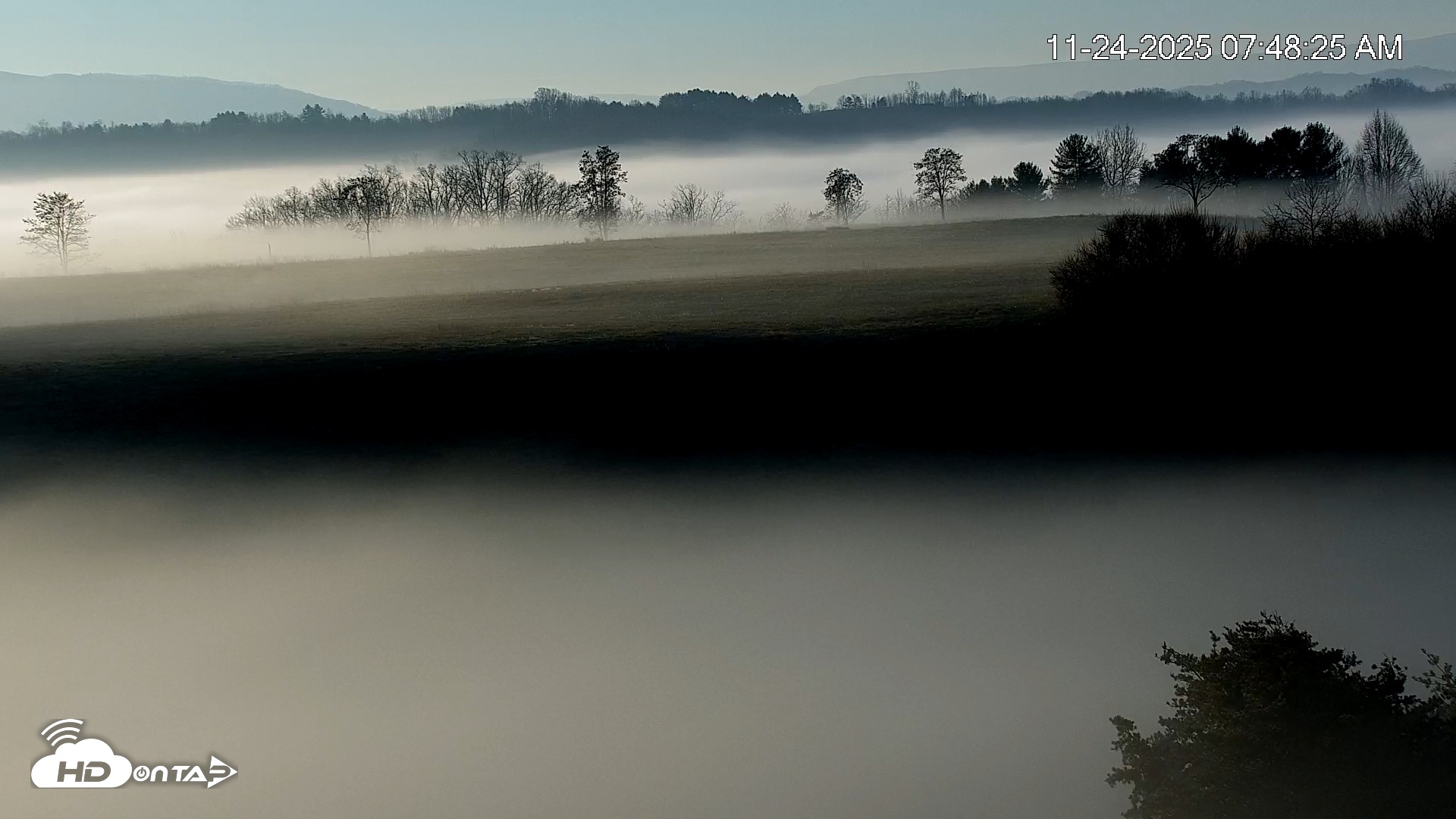 Snapshot of Virginia Elk Live Webcam taken Nov 24, 2025, 7:49am EST