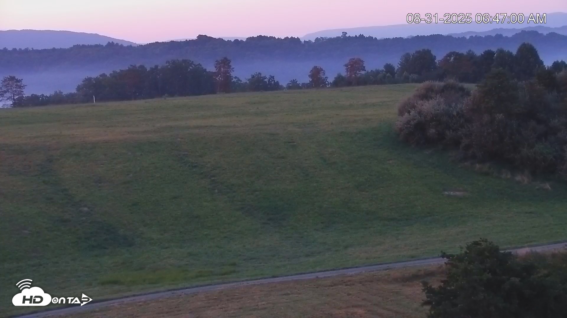Snapshot of Virginia Elk Cam taken Aug 31, 2025, 6:47am EDT