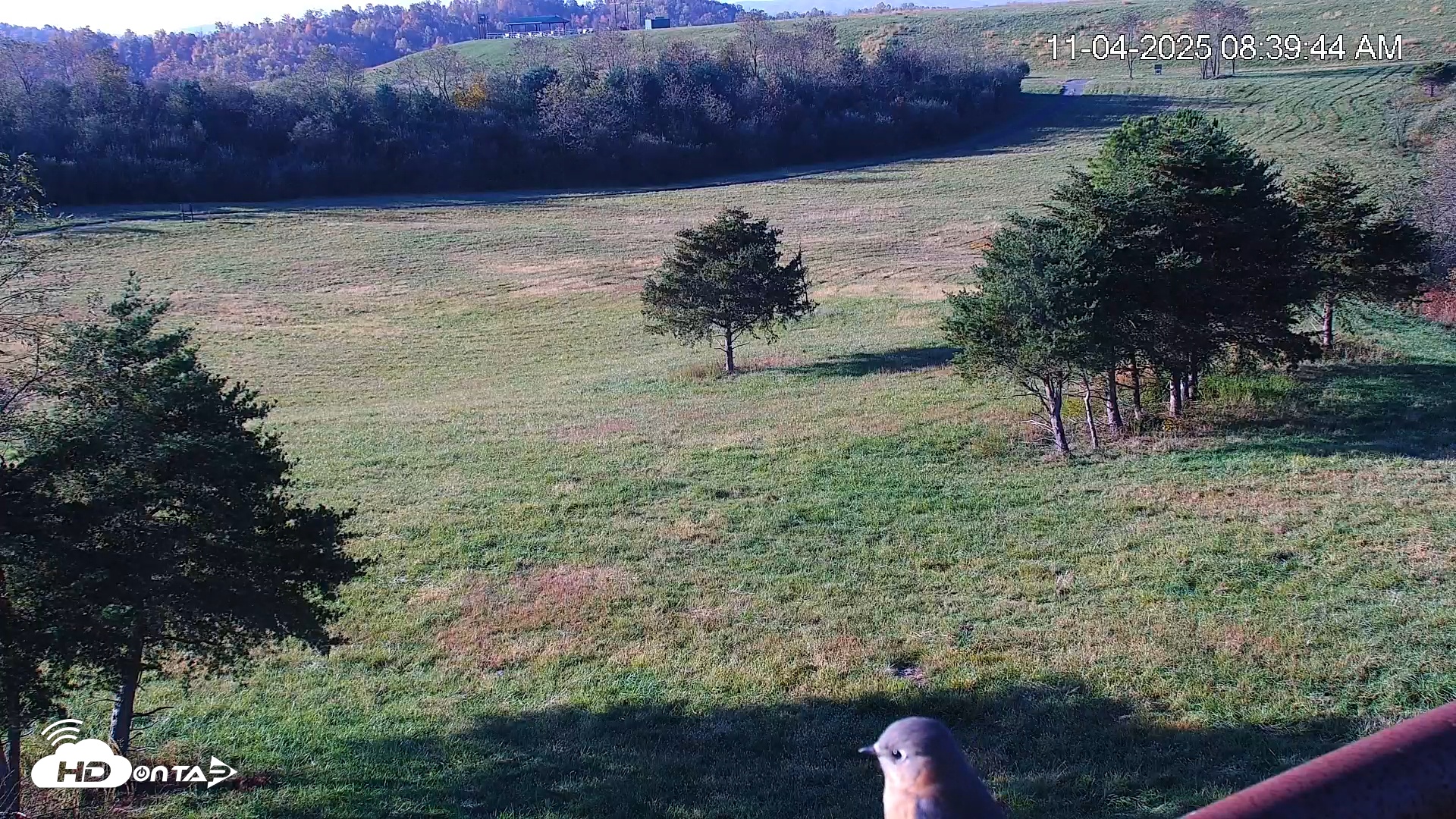 Snapshot of Virginia Elk Live Webcam taken Nov 4, 2025, 8:40am EST
