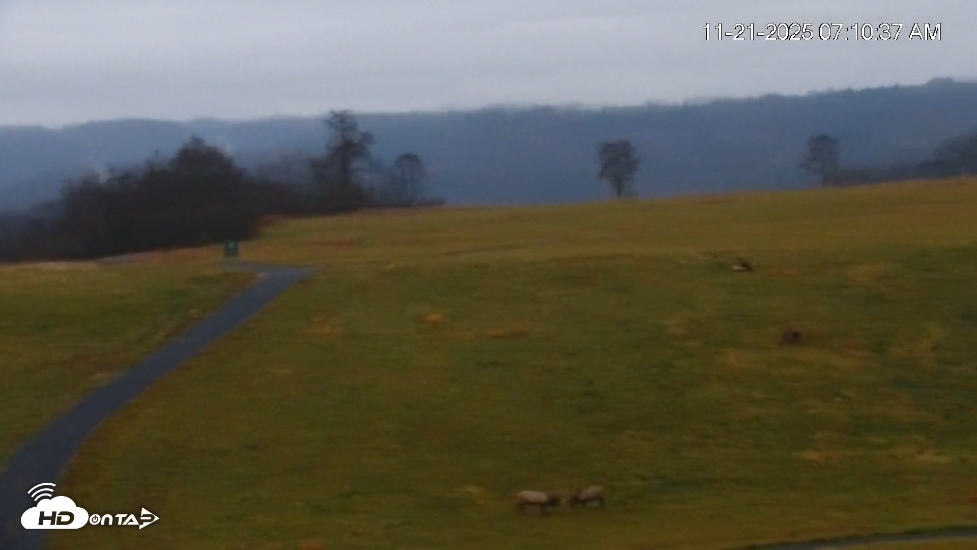 Snapshot of Virginia Elk Live Webcam taken Nov 21, 2025, 7:11am EST