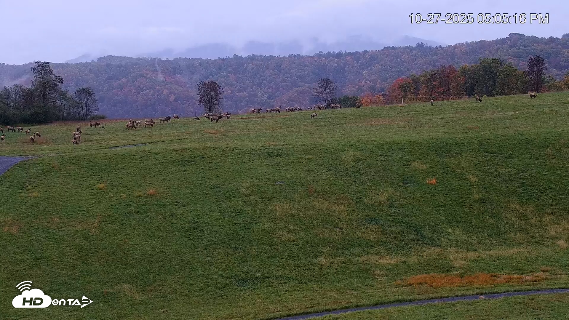 Snapshot of Virginia Elk Live Webcam taken Oct 27, 2025, 5:05pm EDT