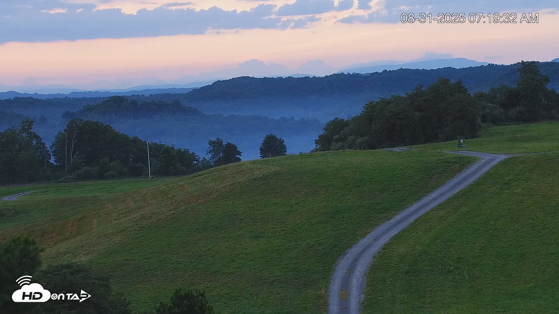 Snapshot of Virginia Elk Cam taken Aug 31, 2025, 7:20am EDT