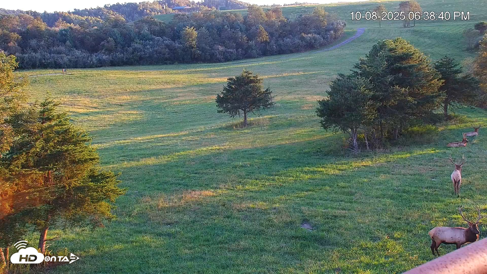 Snapshot of Virginia Elk Live Webcam taken Oct 8, 2025, 6:39pm EDT