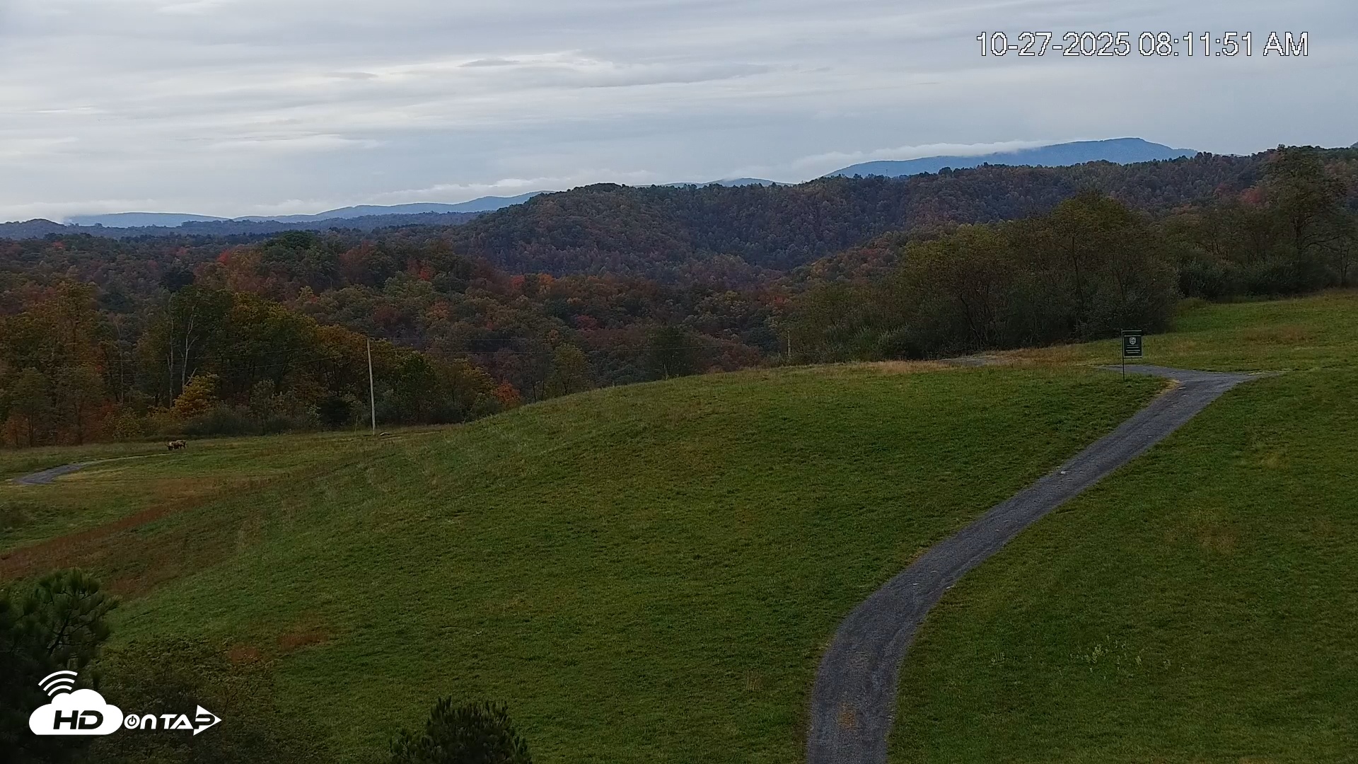 Snapshot of Virginia Elk Live Webcam taken Oct 27, 2025, 8:12am EDT