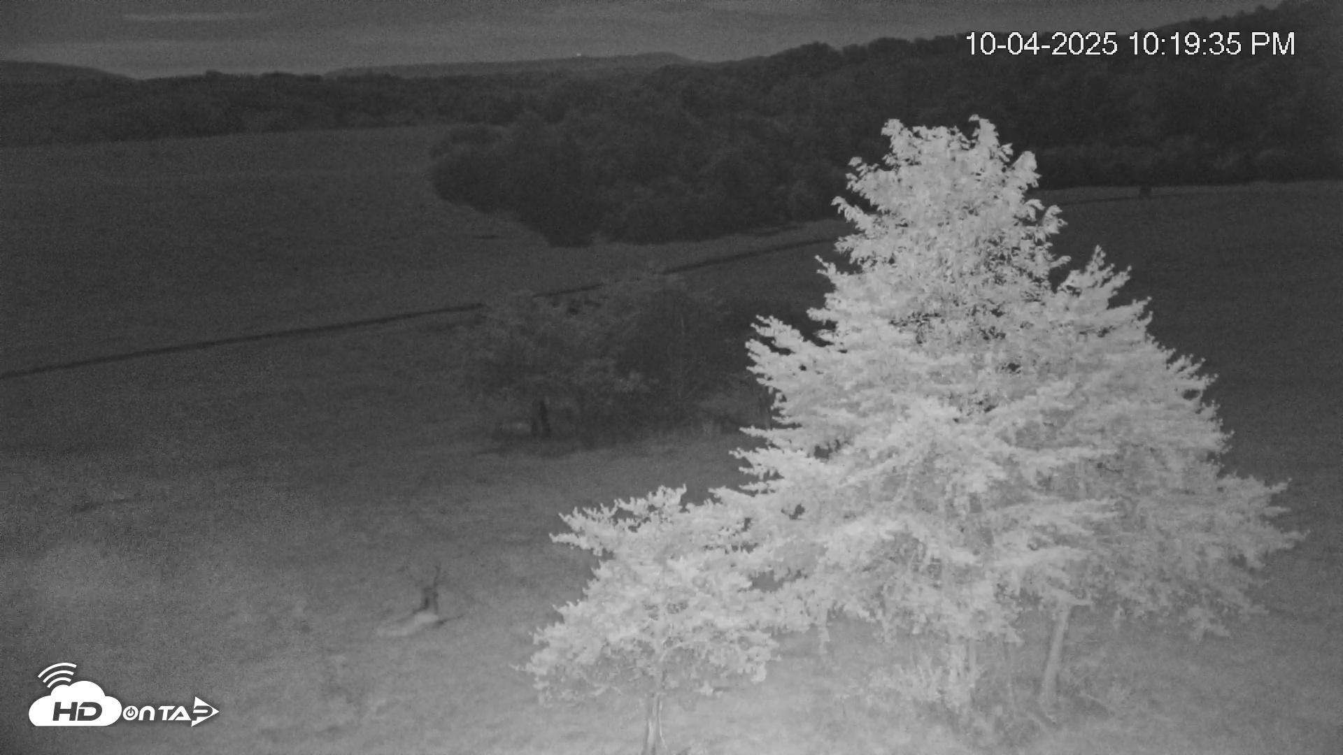 Snapshot of Virginia Elk Live Webcam taken Oct 4, 2025, 10:20pm EDT