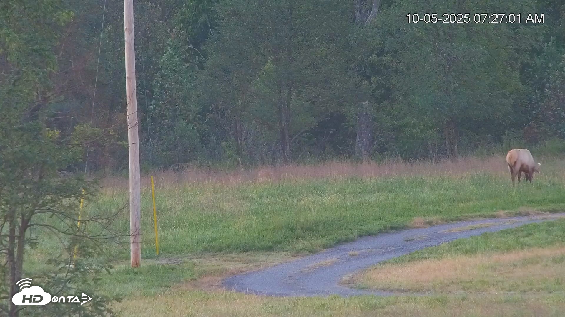 Snapshot of Virginia Elk Live Webcam taken Oct 5, 2025, 7:27am EDT