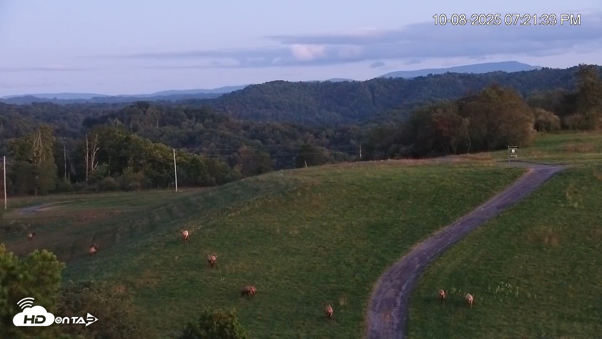 Snapshot of Virginia Elk Live Webcam taken Oct 8, 2025, 7:22pm EDT