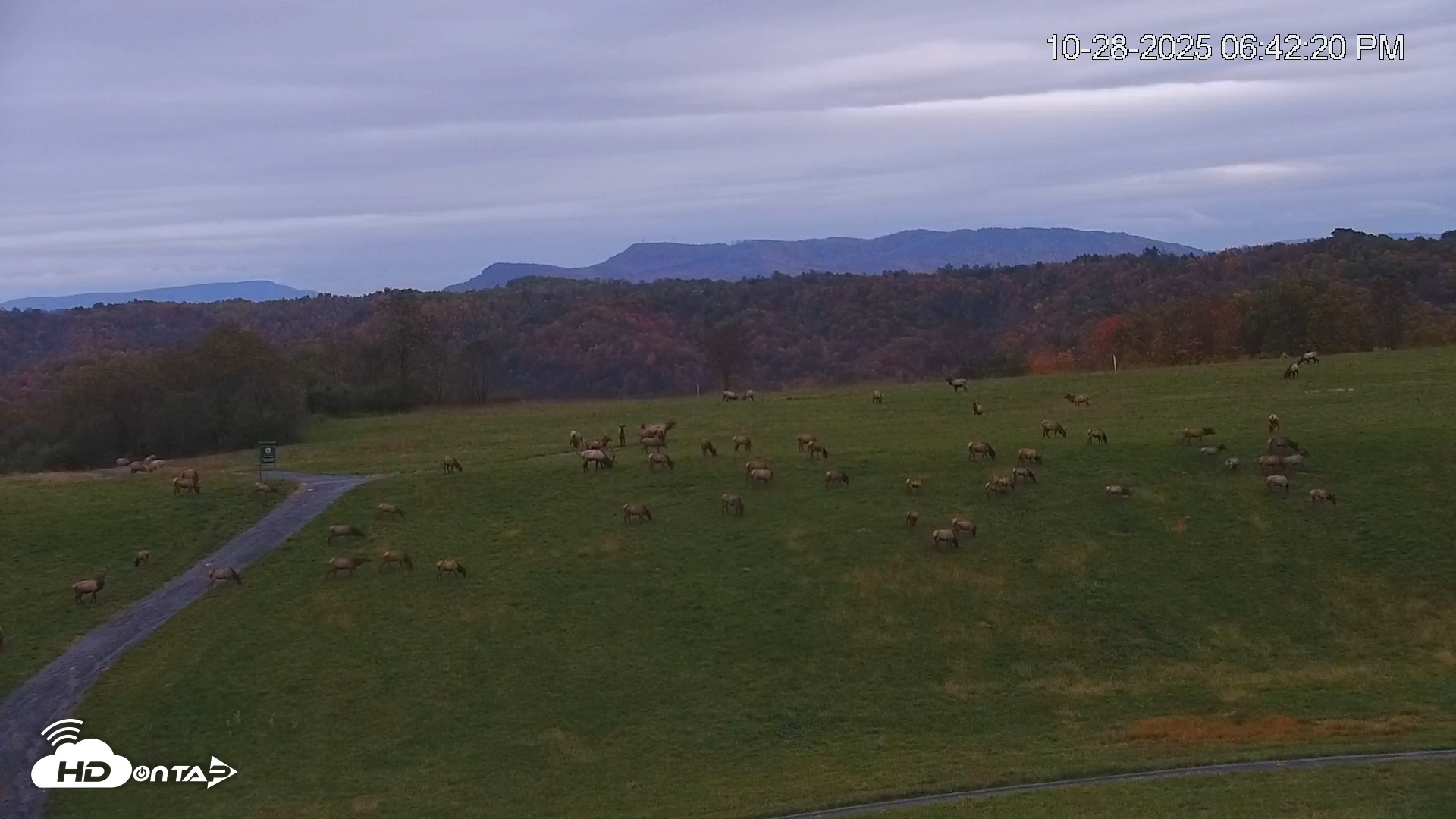 Snapshot of Virginia Elk Live Webcam taken Oct 28, 2025, 6:43pm EDT