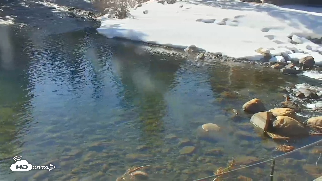 Snapshot of Tahoe City's River Ranch Lodge Live Cam taken Feb 2, 2026, 11:24am PST
