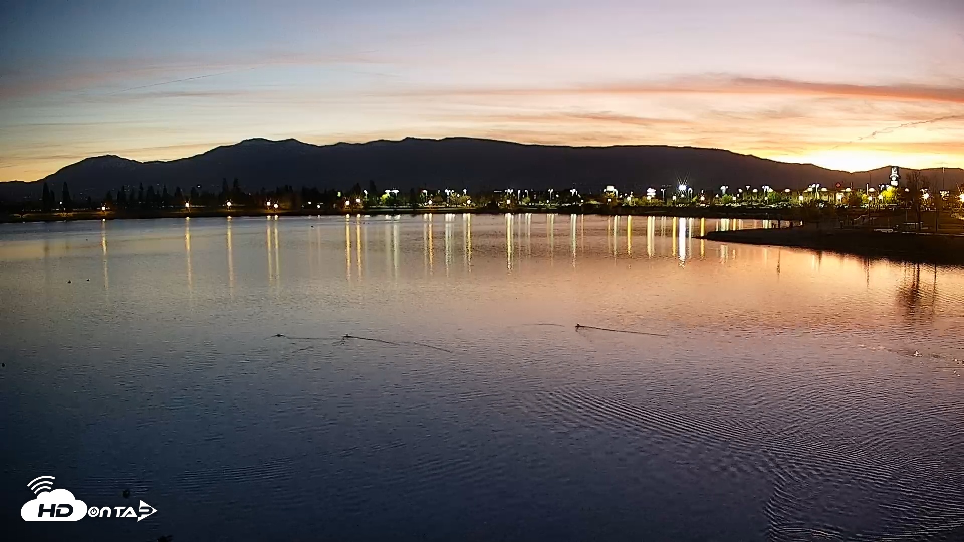 Snapshot of Sparks Water Bar Live Webcam taken Nov 8, 2025, 5:16pm PST