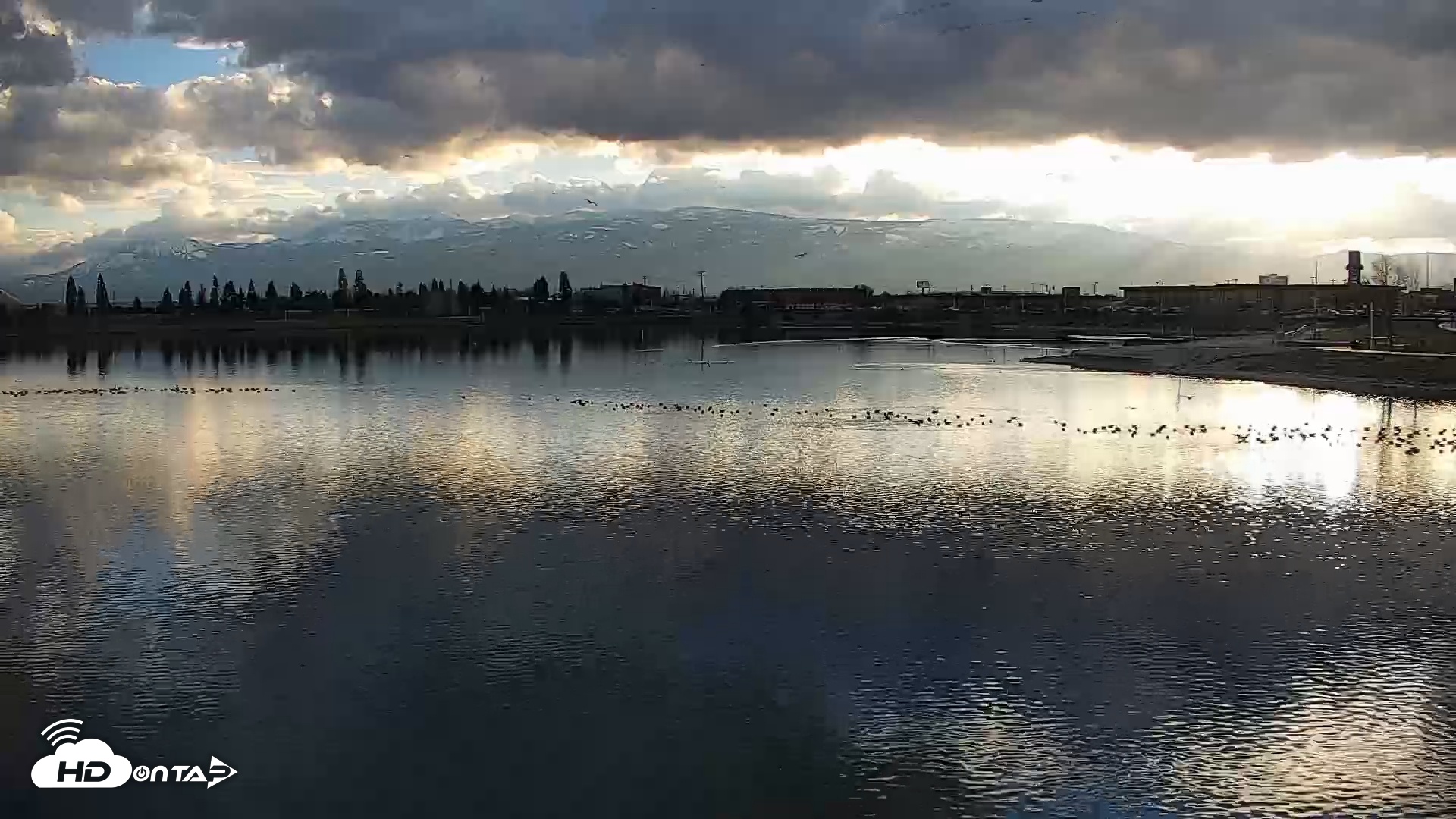 Snapshot of Sparks Water Bar Live Webcam taken Mar 1, 2026, 5:11pm PST