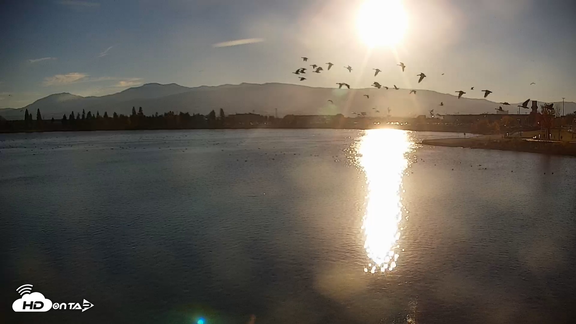 Snapshot of Sparks Water Bar Live Webcam taken Nov 2, 2025, 3:54pm PST