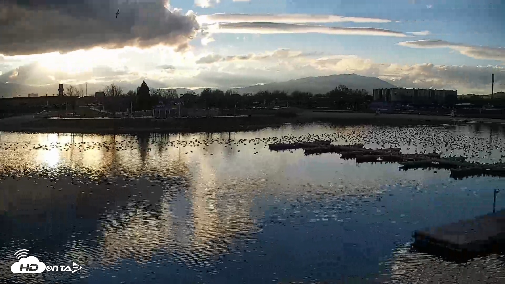 Snapshot of Sparks Water Bar Live Webcam taken Mar 1, 2026, 5:14pm PST