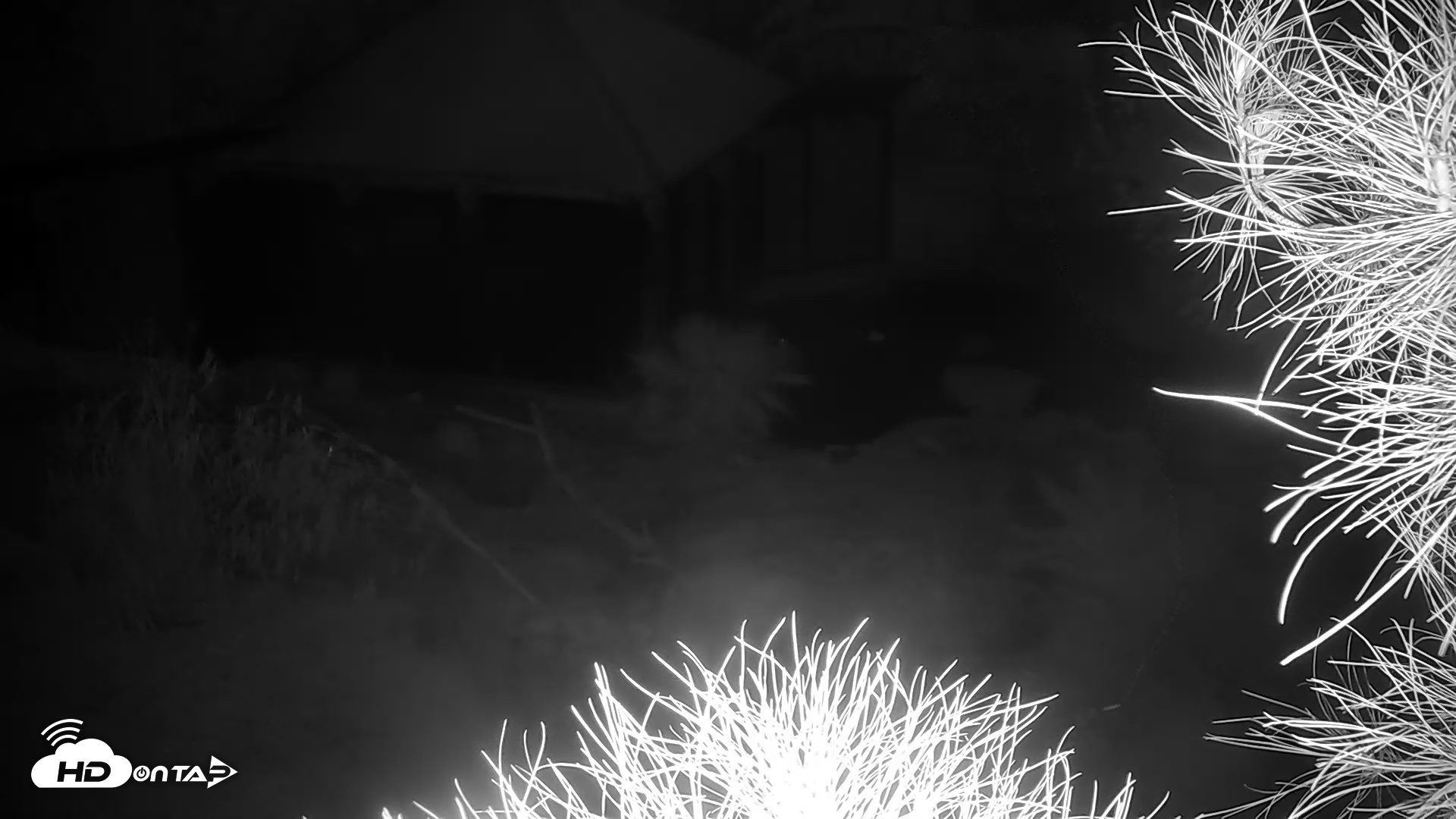 Snapshot of Reid Park Zoo Bears Live Webcam taken Nov 27, 2025, 5:53pm MST