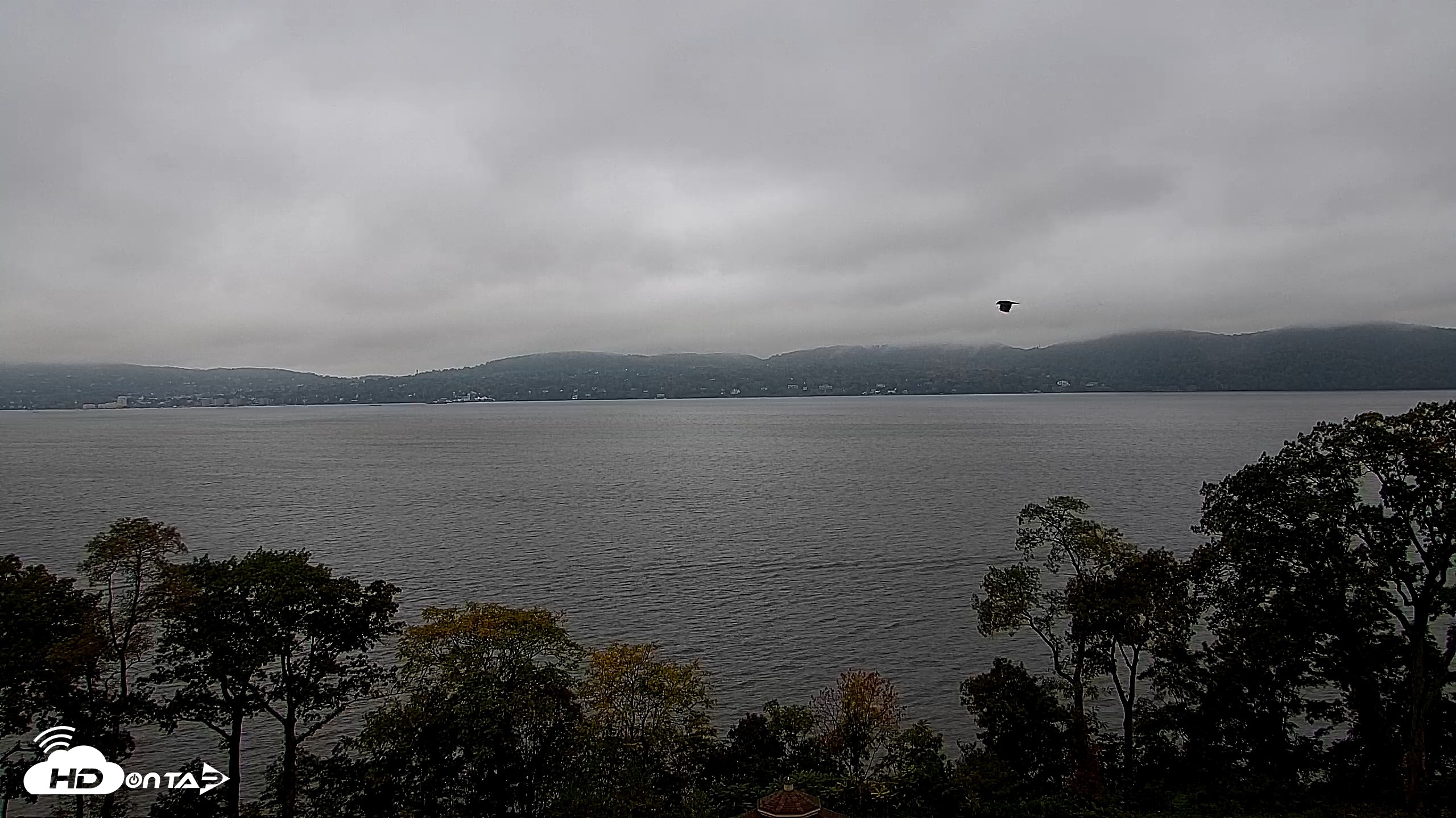 Snapshot of Hudson River Live Webcam taken Oct 16, 2026, 11:46am EDT