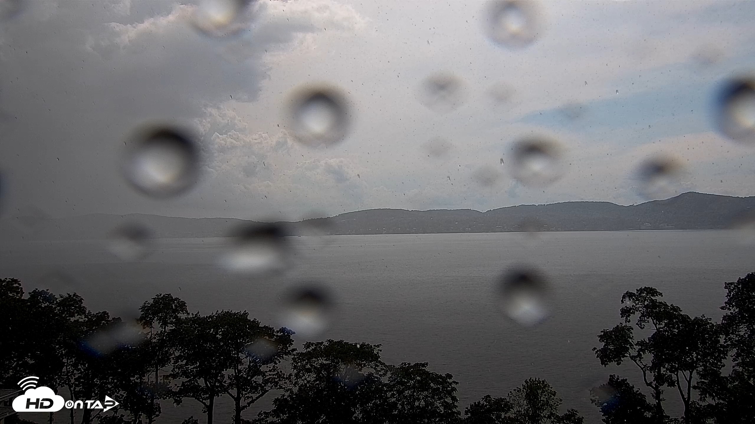 Snapshot of Hudson River Live Webcam taken Jun 26, 2026, 3:38pm EDT